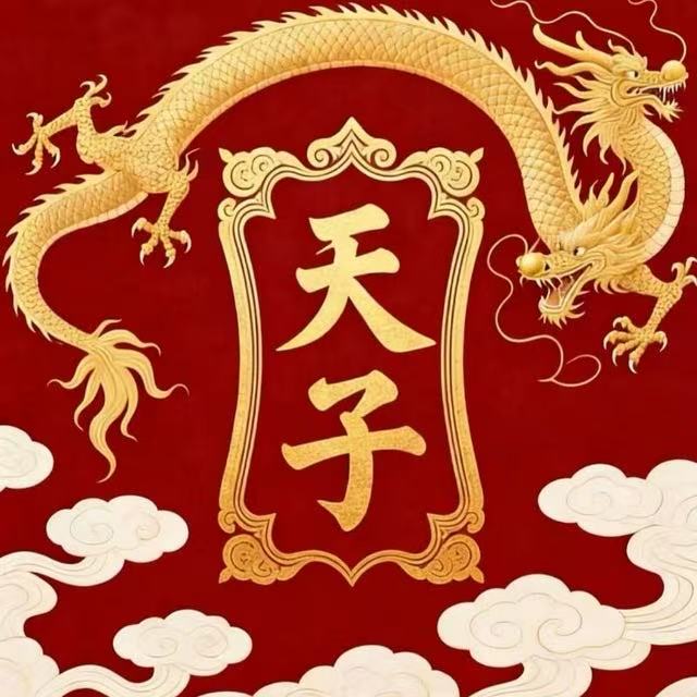 天子直装官网头像